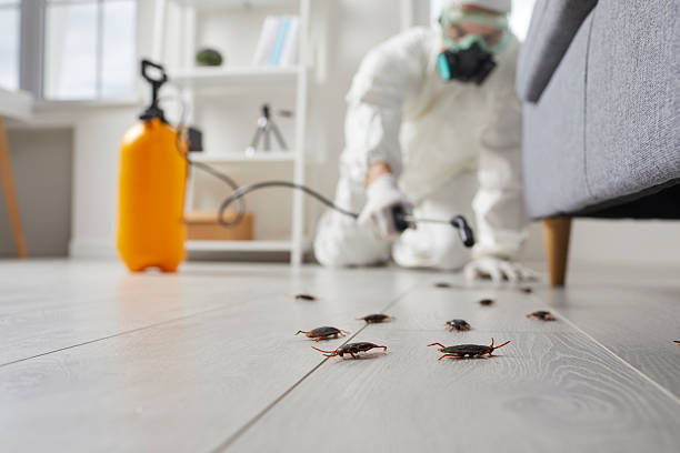 Commercial Kitchen Cockroach Control in Huron